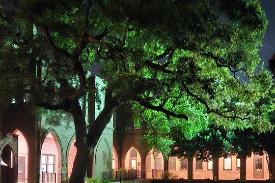 Tour image 4